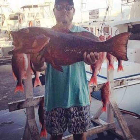 Meet your Posher, Colby - Picture 1 of 1